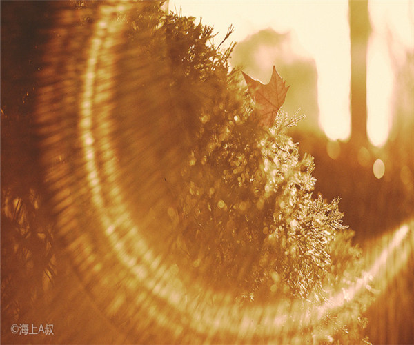 為什么大家喜歡在4月份裝修房子呢？